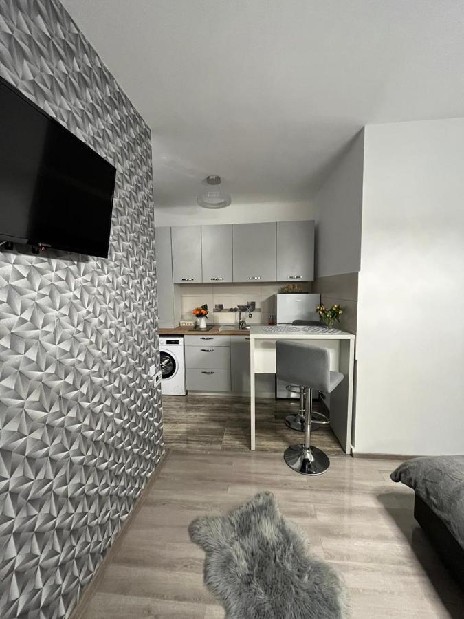 Central Studio Brasov Ngoại thất bức ảnh