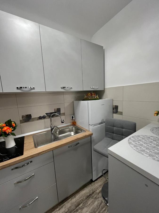 Central Studio Brasov Ngoại thất bức ảnh