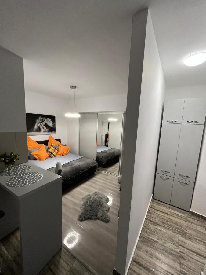Central Studio Brasov Ngoại thất bức ảnh
